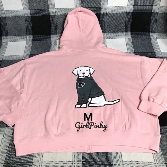 VS PINK outfit HOODIE SWEATER DOG pants - Picture 2 of 5